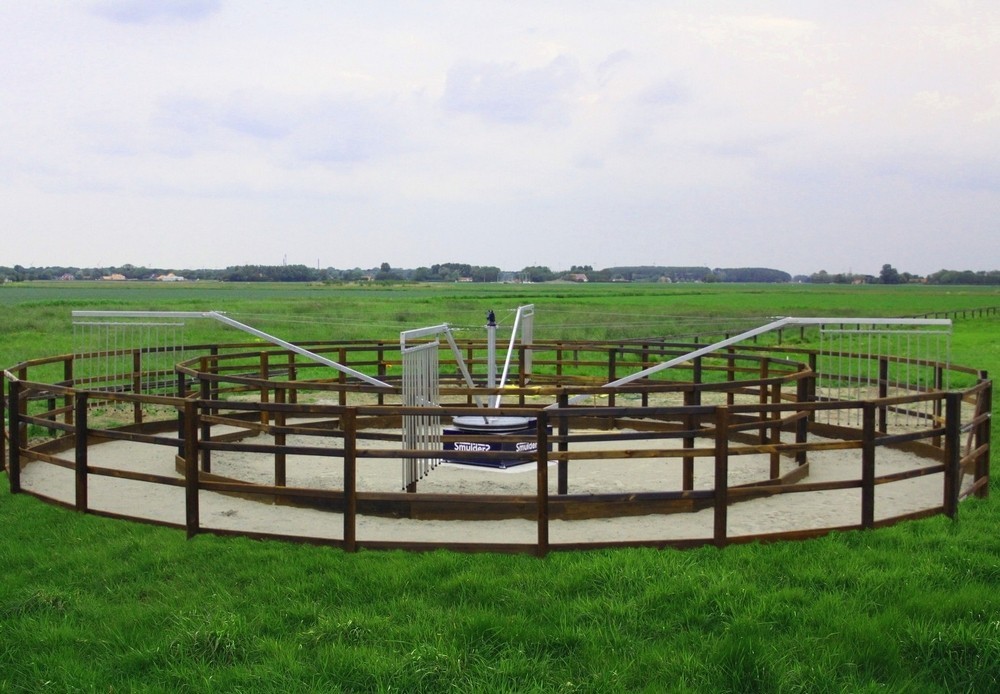 Machine D'équitation électrique, écran LCD Tactile, Simulation