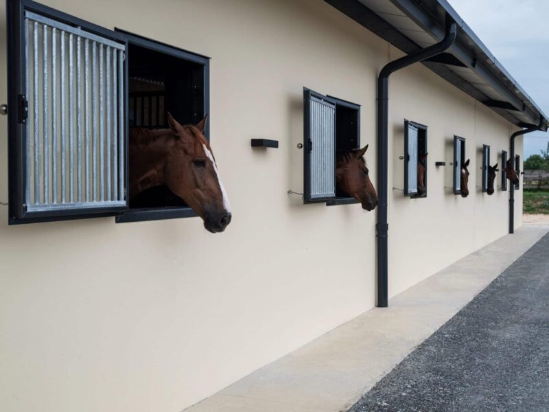 Fenêtre de box vitrée