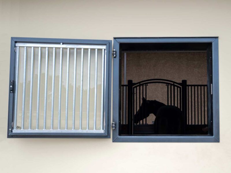 Fenêtre de box vitrée