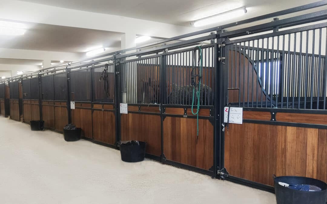 HSMG ÉQUITATION