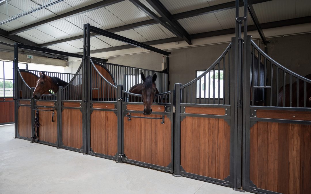 Haras de Madice