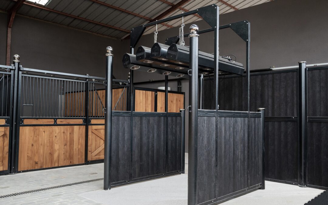 Le solarium pour chevaux : un allié bien-être au quotidien