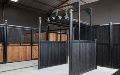 Le solarium pour chevaux : un allié bien-être au quotidien
