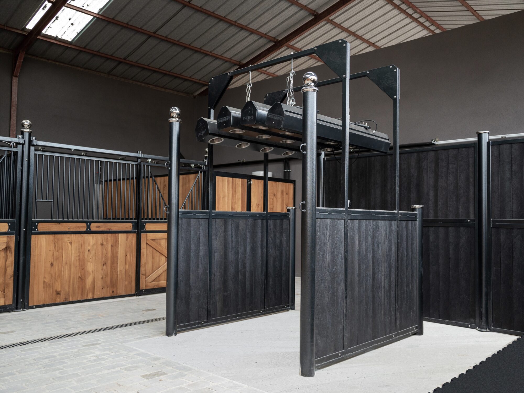 Le solarium pour chevaux : un allié bien-être au quotidien