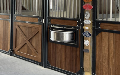 Nourrissage des chevaux au box : quelles solutions adopter ?