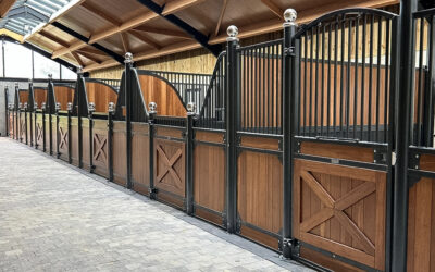 Comment entretenir un box pour chevaux et prolonger la durée de vie de vos écuries ?