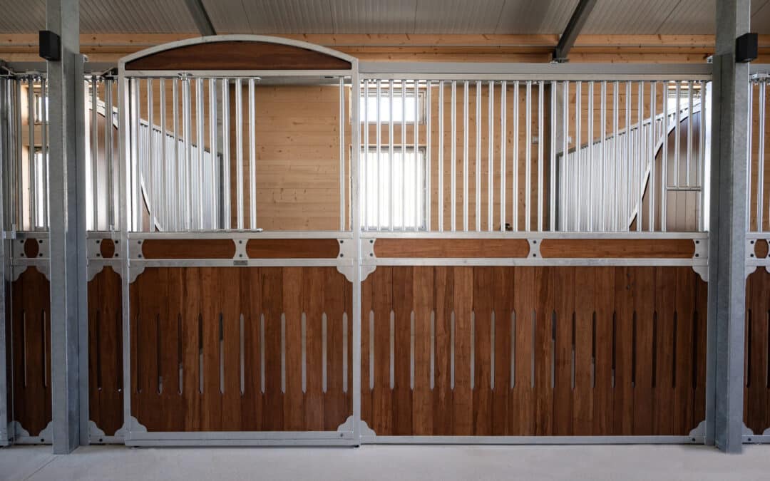 MOONLIGHT SPORT HORSES