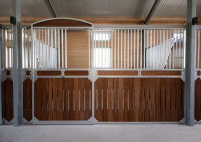 MOONLIGHT SPORT HORSES